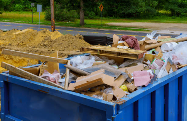 Best Shed Removal  in Steger, IL